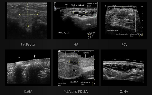 画板 1 拷贝 2 - 副本