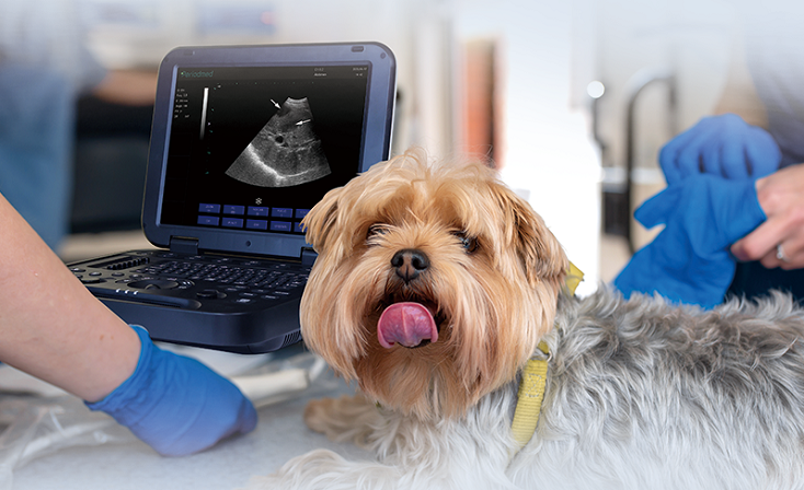PU-VDL151A ultrasound device for dog