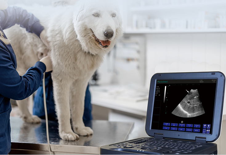 PU-VDL151A  ultrasound device