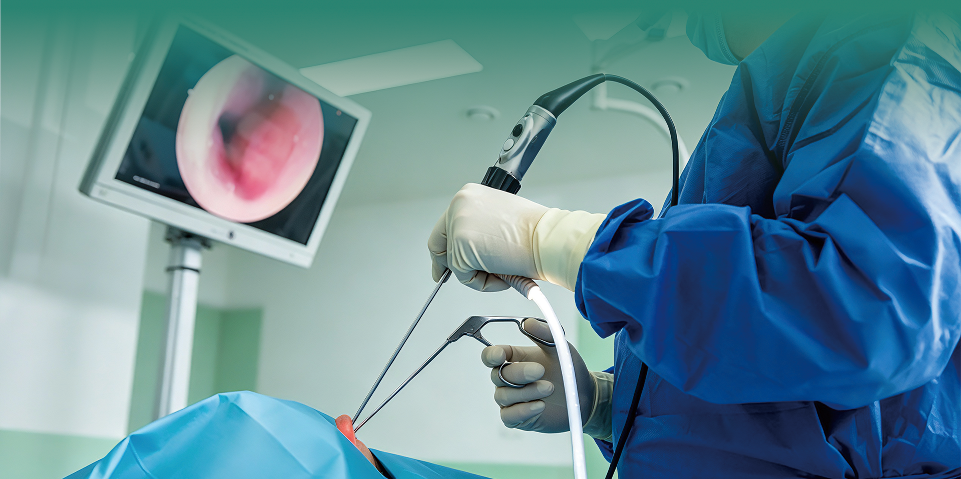 Endoscopy System