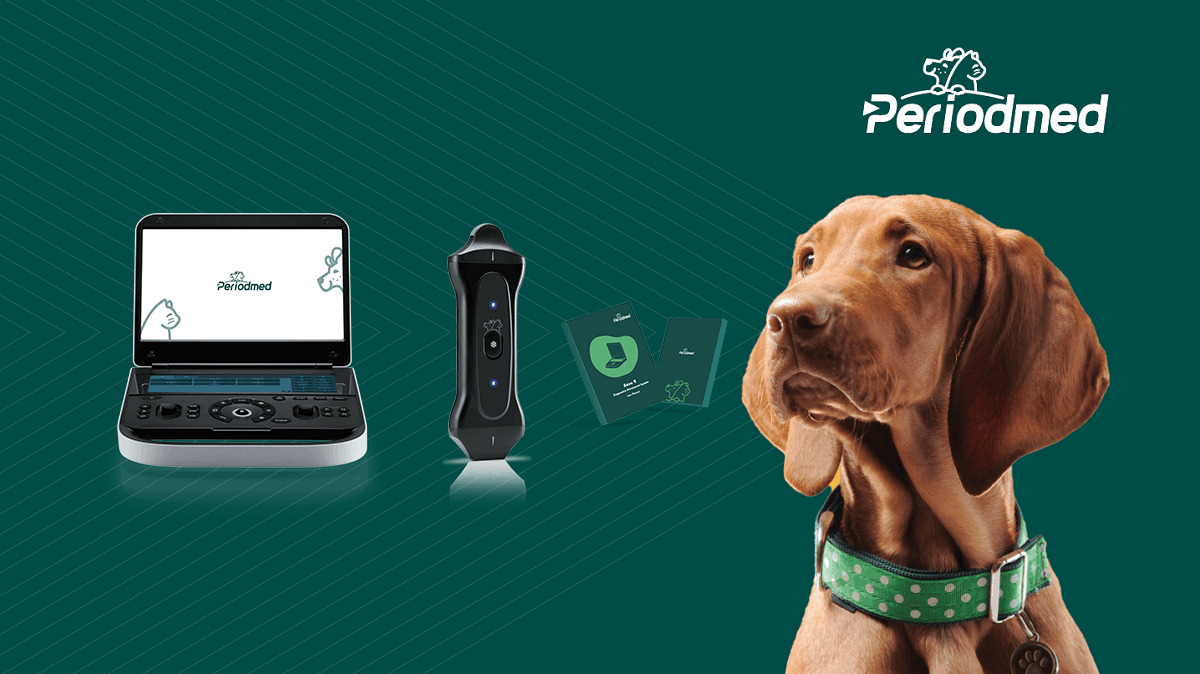 periodmedanimal branding
