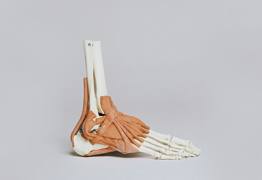 Foot & Ankle MSK Ultrasound: Core Podiatry Imaging for Plantar Fascia and Tendon Disorders