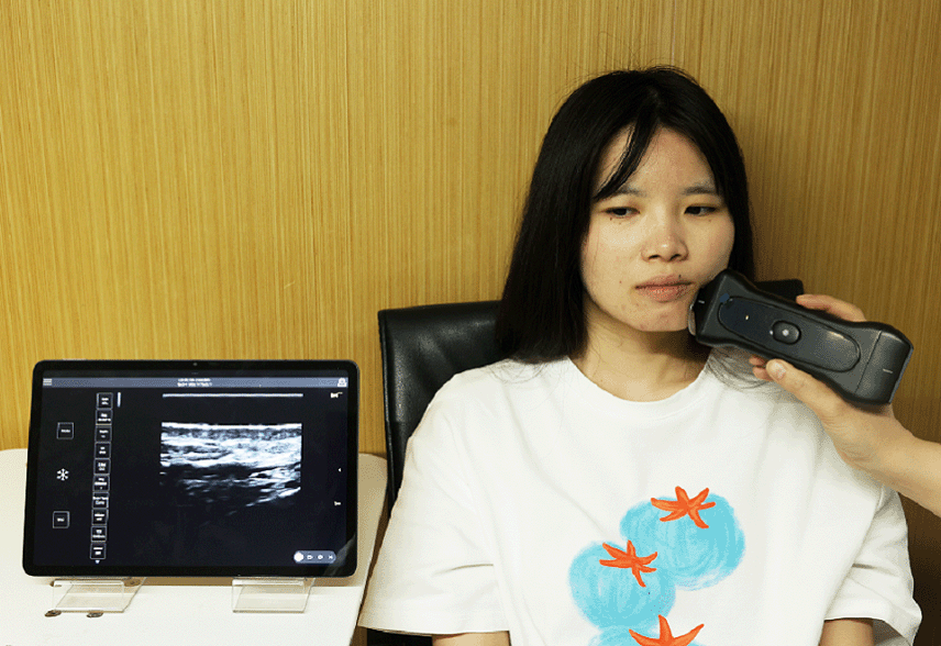 Southeast Asia Aesthetic Handheld Ultrasound Market: Market Outlook & Profit Potential for Distributors