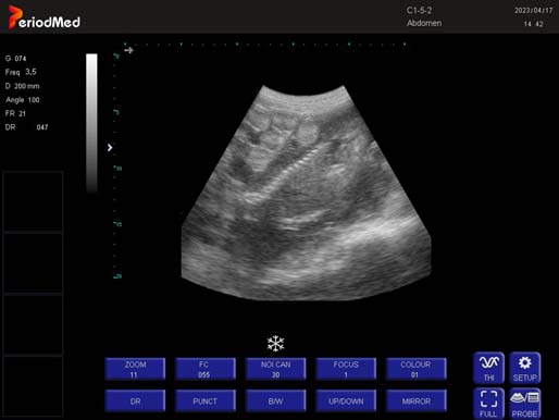  Convex Probe-B Mode-Abdomen Sheep