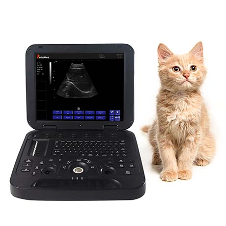 PMS-V15 Veterinary Laptop Ultrasound Diagnostic Device