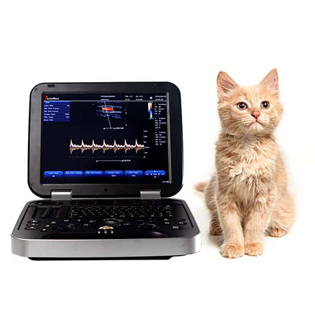 PMS-VL8 Veterinary Color Doppler Laptop Ultrasound Diagnostic Device