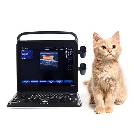 PMS-VP8 Veterinary Color Doppler Laptop Ultrasound Diagnostic Device