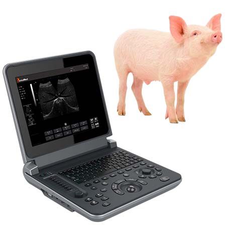 PMS-V12 Veterinary Laptop Ultrasound Diagnostic Device
