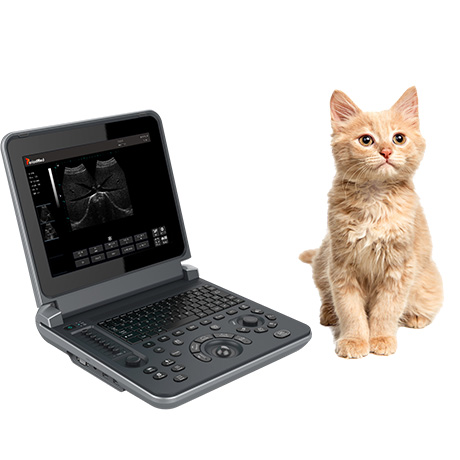 PMS-V12 Veterinary Laptop Ultrasound Diagnostic Device