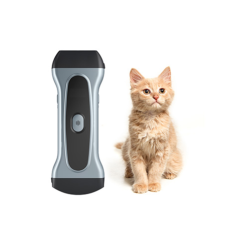 Wireless Veterinary Ultrasound System VPIU2A