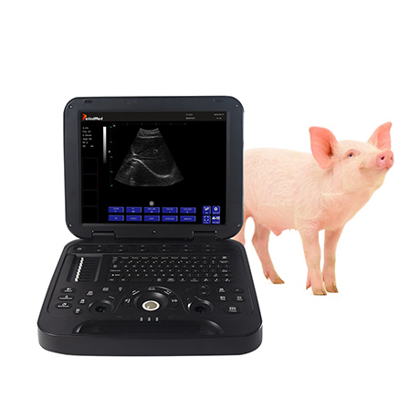 PMS-V15 Veterinary Laptop Ultrasound Diagnostic Device