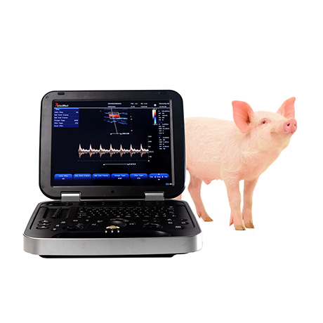 PMS-VL8 Veterinary Color Doppler Laptop Ultrasound Diagnostic Device