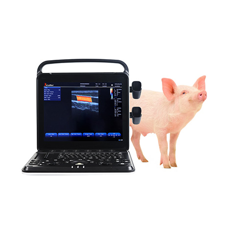 PMS-VP8 Veterinary Color Doppler Laptop Ultrasound Diagnostic Device