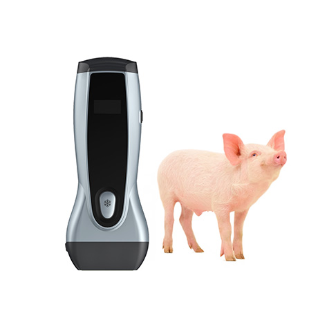 Wireless Veterinary Ultrasound System VPIU1A