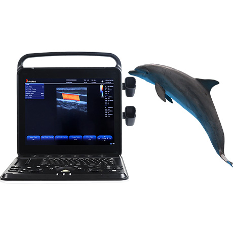 PMS-VP8 Veterinary Color Doppler Laptop Ultrasound Diagnostic Device