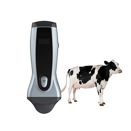 Wireless Veterinary Ultrasound System VPIU1D