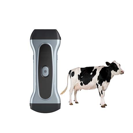 Wireless Veterinary Ultrasound System VPIU2A
