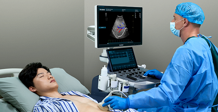 Dual Probes for Multi-Scenario Needs