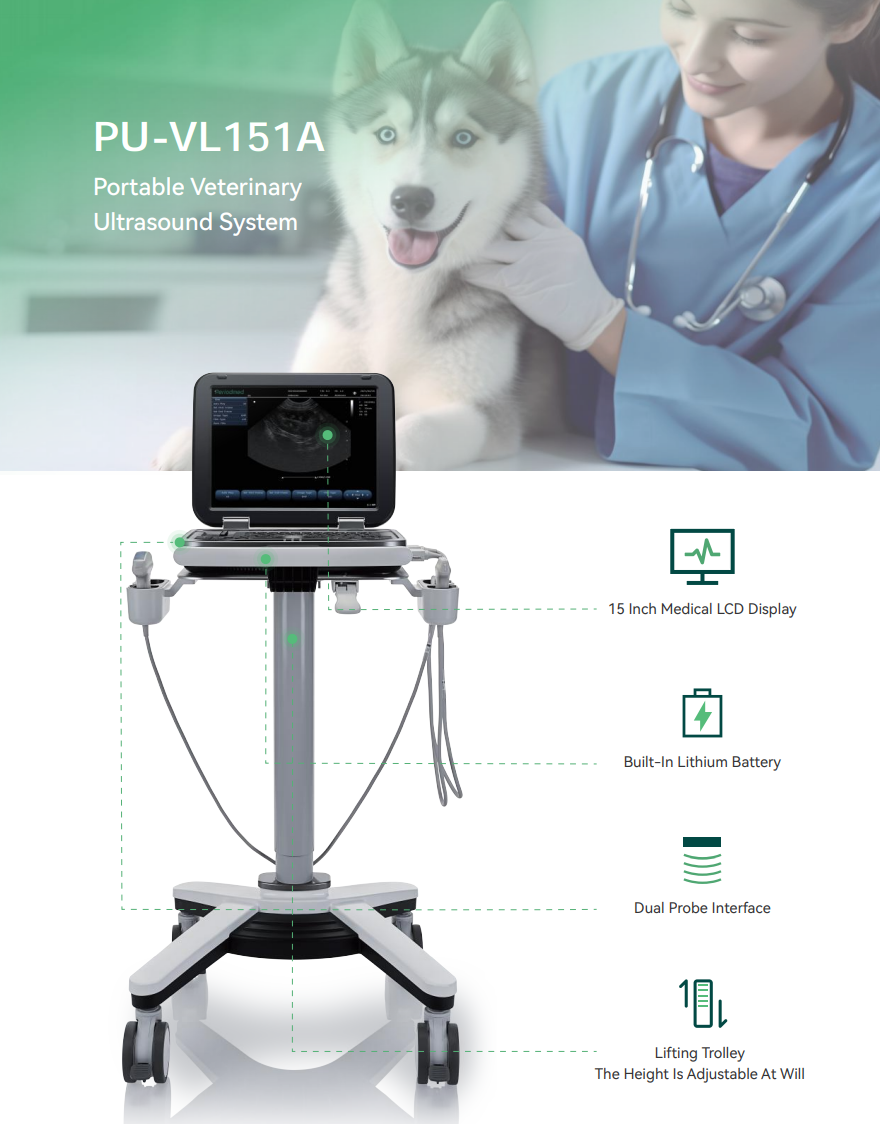ultrasound parameter