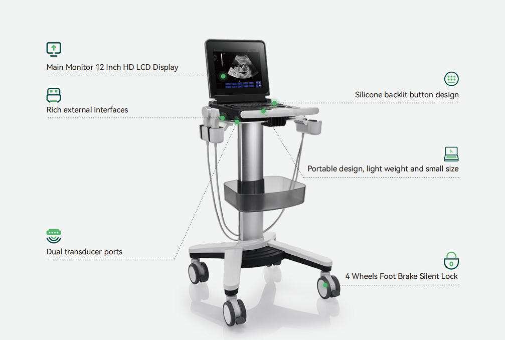 pet ultrasound machine display