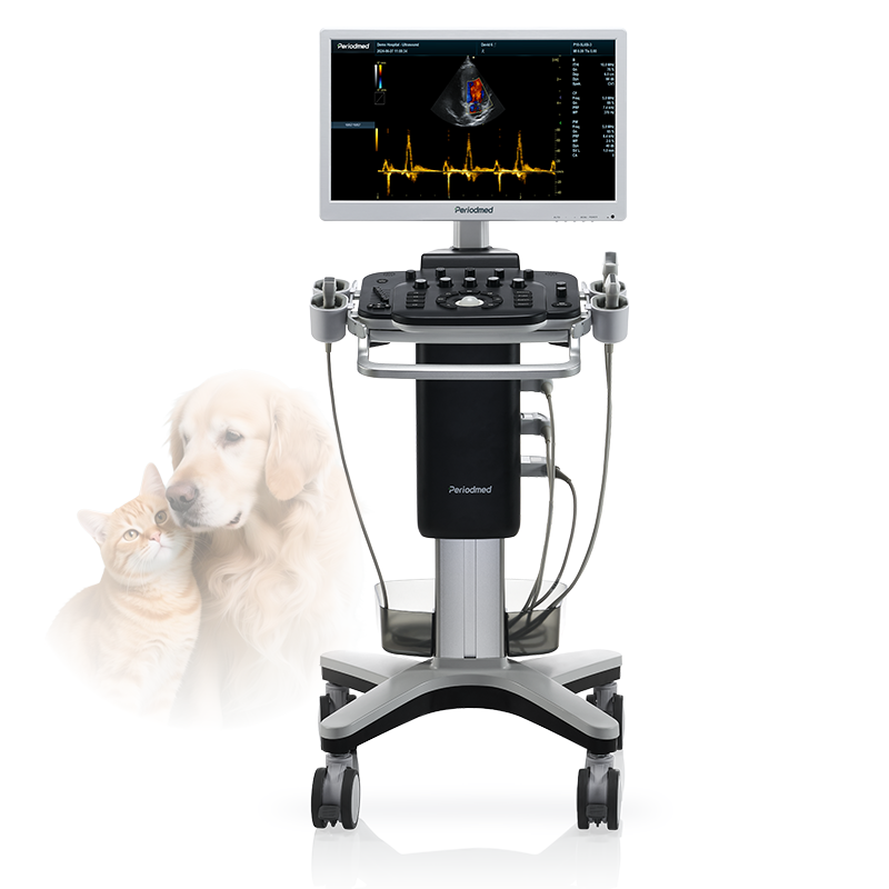 cart-based vet ultrasound