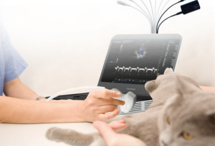 vet ultrasound revo 9
