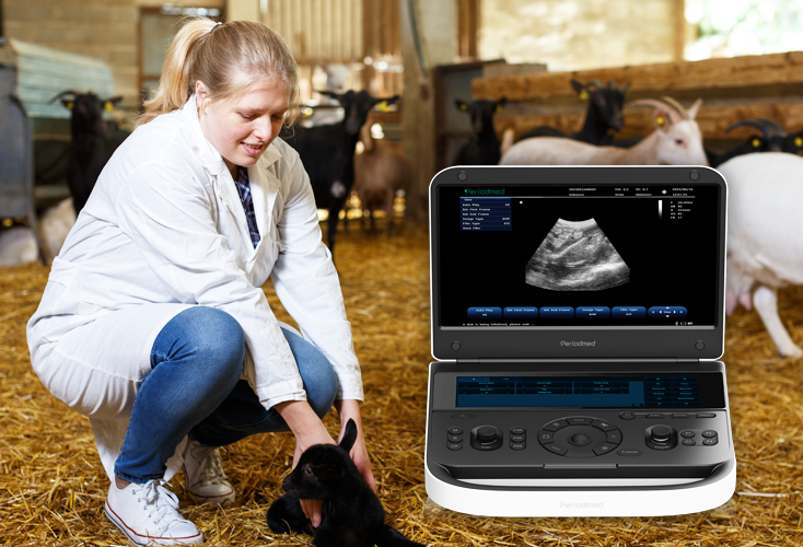 Revo Vet 9 羊1  拷贝 2