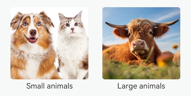 wireless ultrasound application