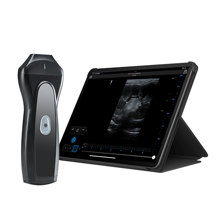 Rabbit-Specific Veterinary Ultrasound Device VPAU1C