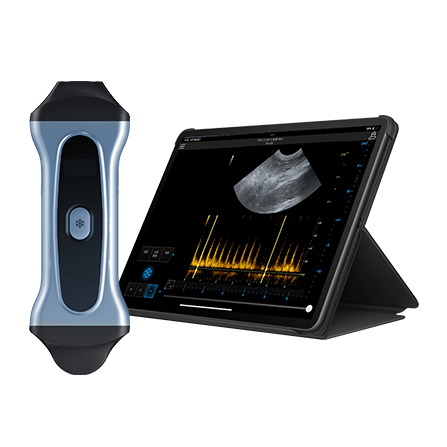 Veterinary Ultrasound Machine for Ferret Abdominal Examinations VPIU2B