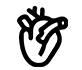 Doppler Color Ultrasound