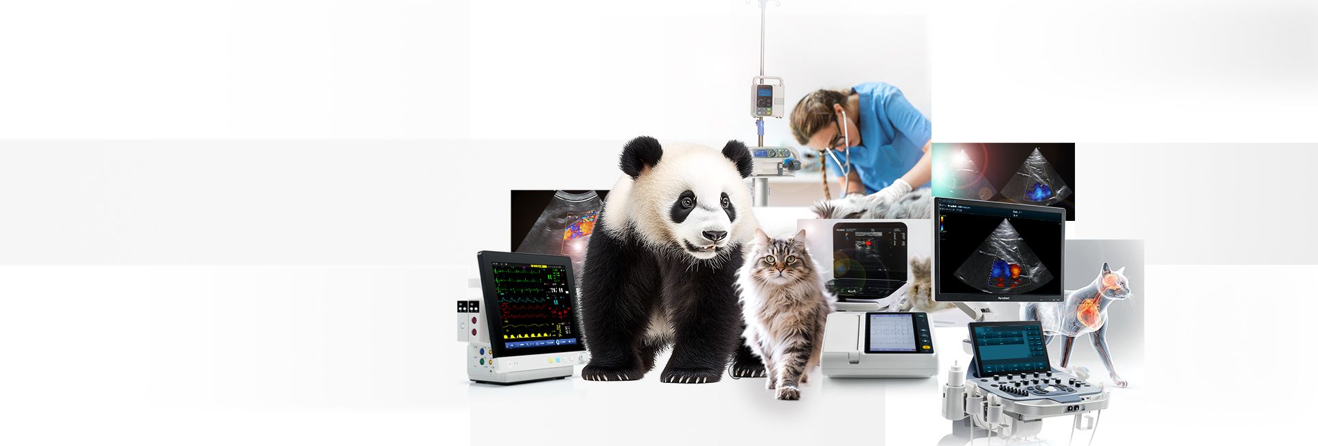Vet Vital Sign Monitor
