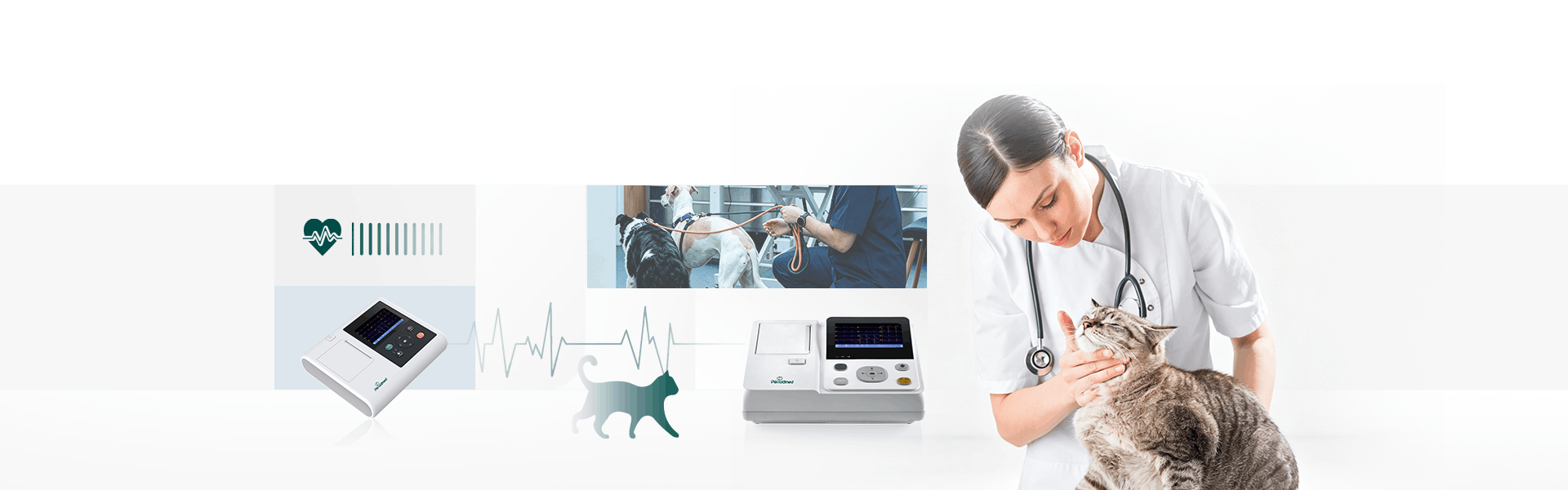 Vet ECG Machine