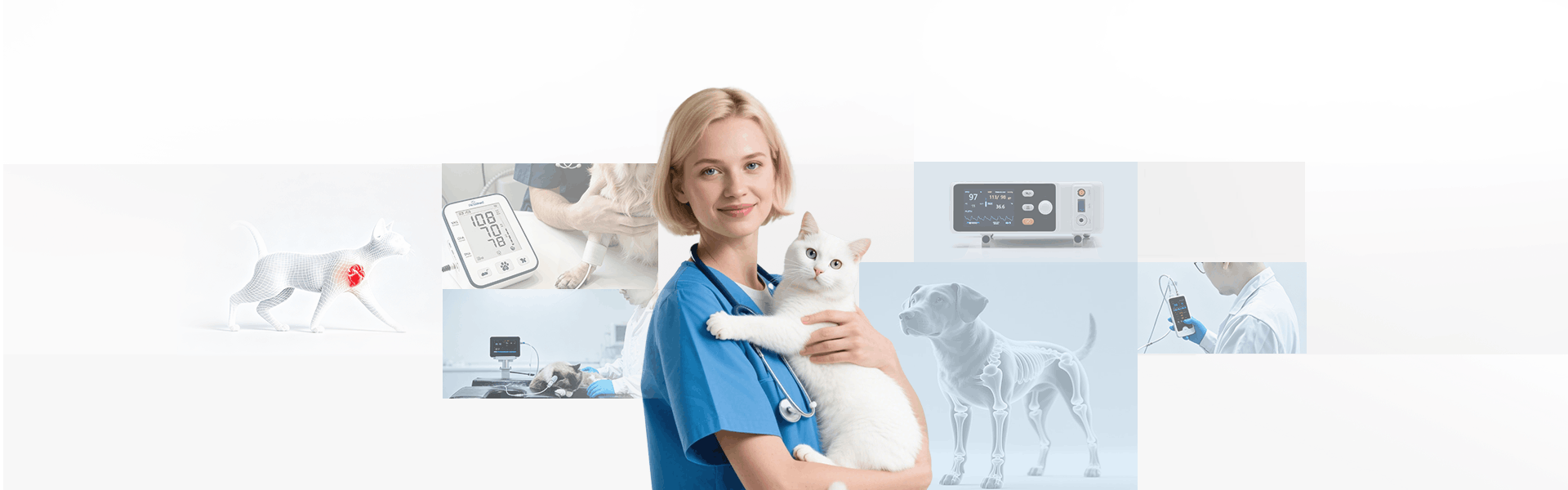 Vet Vital Sign Monitor