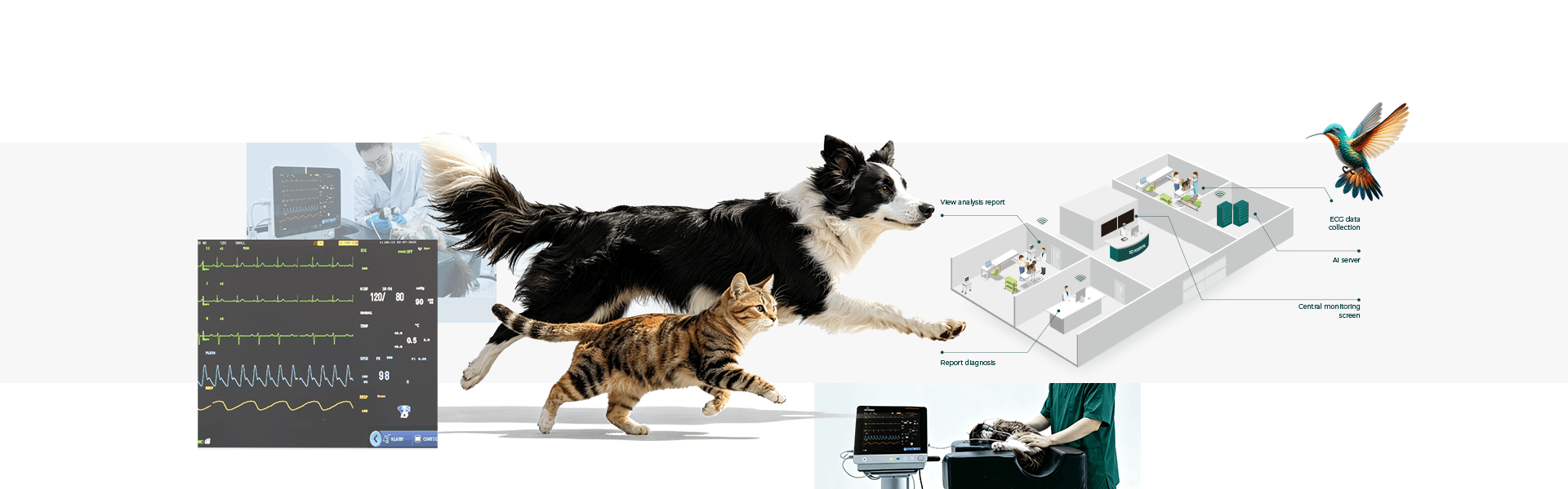 Vet Multi-parameter Patient Monitor